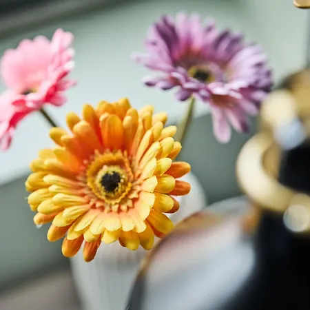 Smarthotel Forus Ξενοδοχείο 3*