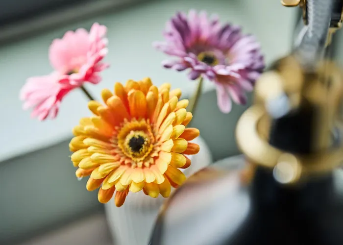 스마트호텔 포루스 호텔 3*